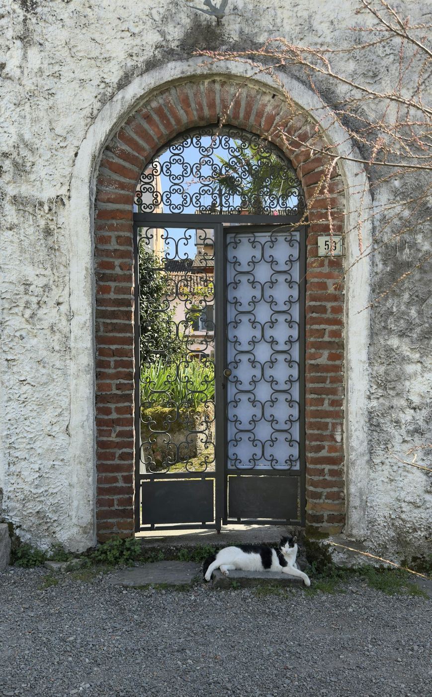 Portillon en fer forgé décoré, motifs sur mesure dans une arche en pierre